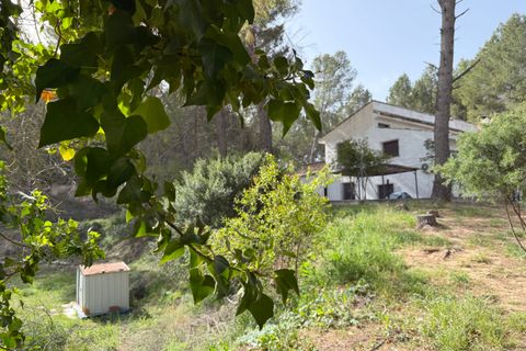 Landejendom i Calasparra, Murcia, Calasparra - € 325.000 | Ref: OFH-333 - foto 10